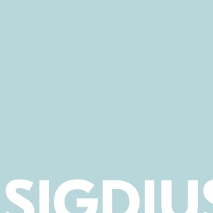 IntCDC Sigdius Seminar (Image: Magic Creative from Pixabay)
