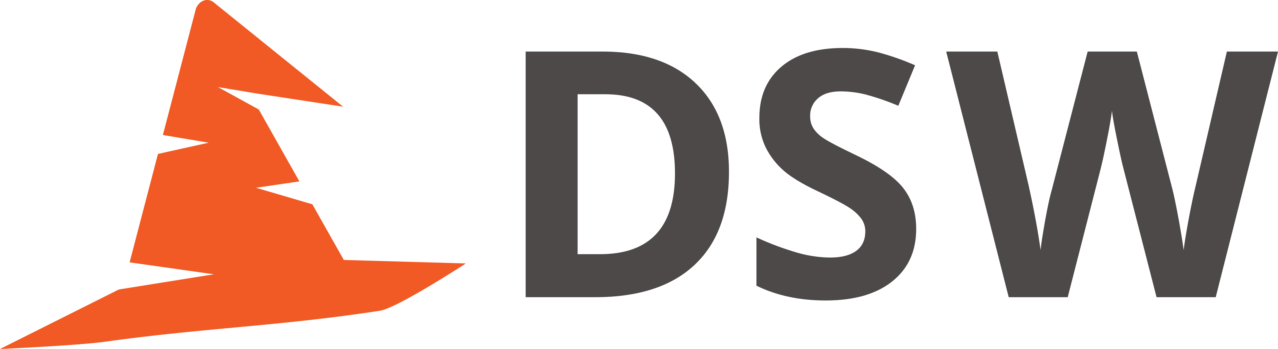 DS Wizard Logo